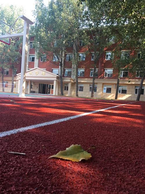 学校主楼